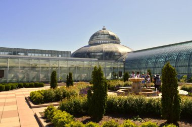 Saint Paul, Minnesota - Haziran 2017: Como Hayvanat Bahçesi ve St Paul, Mn limonlukta.