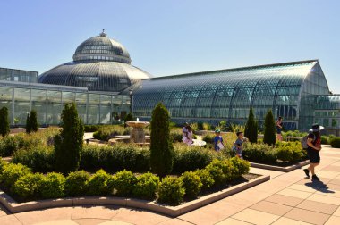 Saint Paul, Minnesota - Haziran 2017: Como Hayvanat Bahçesi ve St Paul, Mn limonlukta.