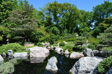 bir Japon bahçesi