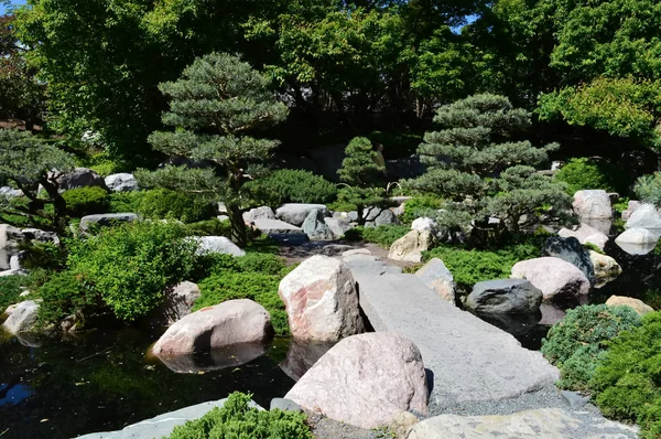 Un jardín japonés — Foto de Stock