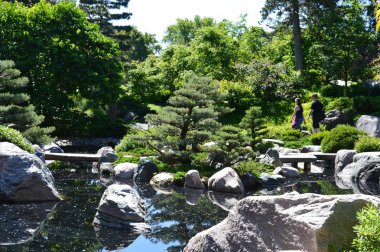 bir Japon bahçesi