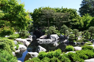 bir Japon bahçesi