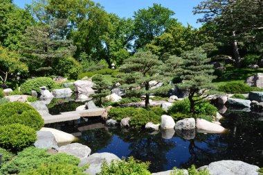bir Japon bahçesi