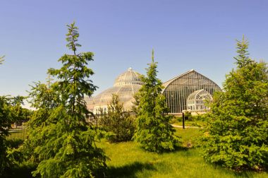 Como Konservatuar Binası