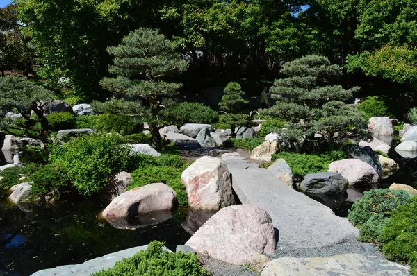Un jardín japonés — Foto de Stock