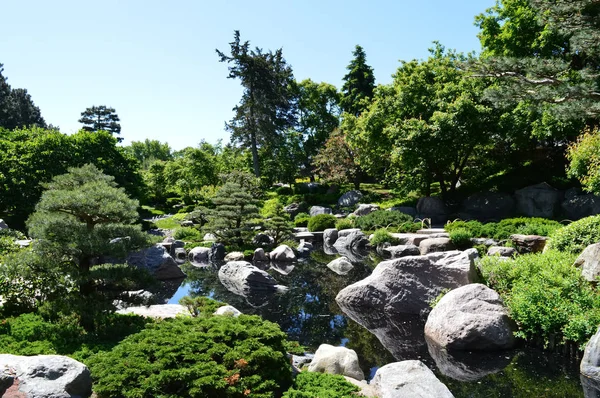 Ένας ιαπωνικός κήπος — Φωτογραφία Αρχείου
