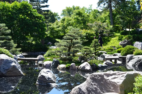 Ένας ιαπωνικός κήπος — Φωτογραφία Αρχείου