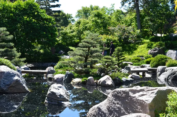 Un jardin japonais — Photo