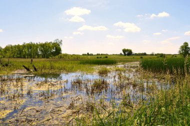 Sulak alan manzara Minnesota