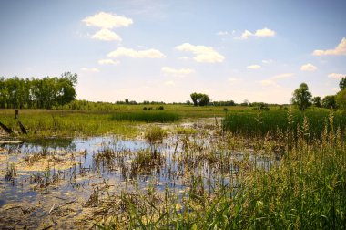 Sulak alan manzara Minnesota