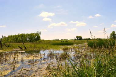 Sulak alan manzara Minnesota