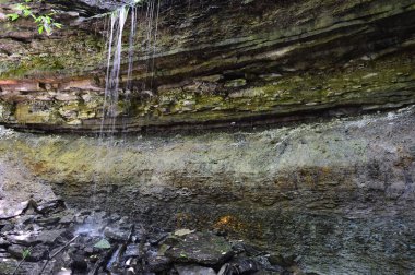 Şelale doğa Merkezi