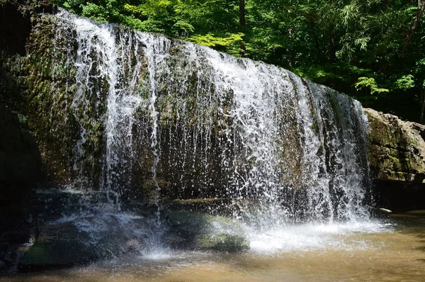 Водопад в парке — стоковое фото