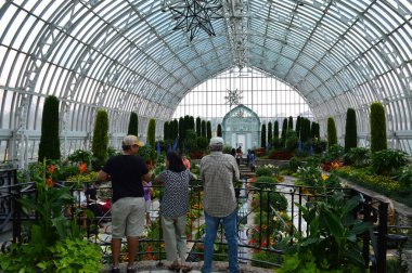 Saint Paul, Minnesota Haziran 2017: Yaz çiçek göster: Como Hayvanat Bahçesi ve St Paul, Mn limonlukta batık bahçesinde.