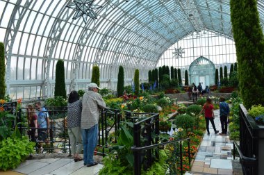 Saint Paul, Minnesota Haziran 2017: Yaz çiçek göster: Como Hayvanat Bahçesi ve St Paul, Mn limonlukta batık bahçesinde.