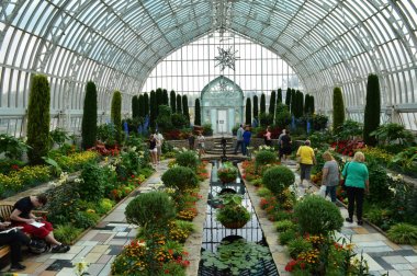 Saint Paul, Minnesota Haziran 2017: Yaz çiçek göster: Como Hayvanat Bahçesi ve St Paul, Mn limonlukta batık bahçesinde.