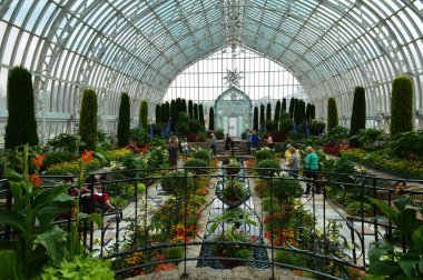 Saint Paul, Minnesota Haziran 2017: Yaz çiçek göster: Como Hayvanat Bahçesi ve St Paul, Mn limonlukta batık bahçesinde.