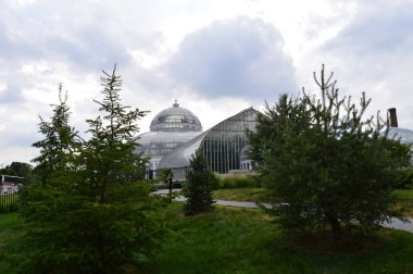 Saint Paul, Minnesota Haziran 2017: Como Hayvanat Bahçesi ve St Paul, Mn limonlukta.