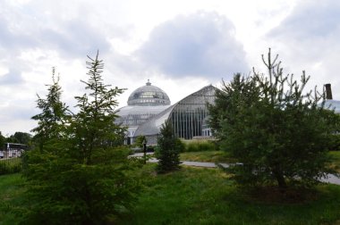 Saint Paul, Minnesota Haziran 2017: Como Hayvanat Bahçesi ve St Paul, Mn limonlukta.