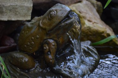 Bir kurbağa heykel