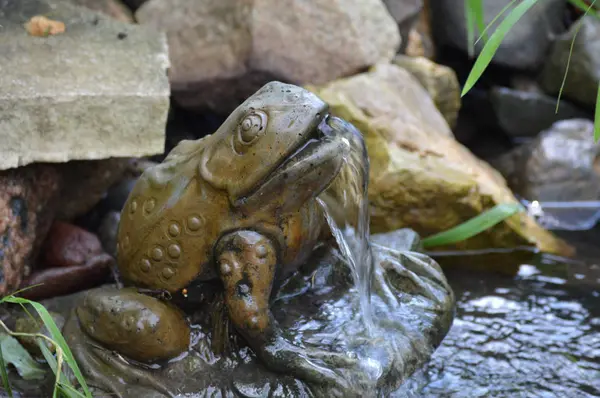 Bir kurbağa heykel
