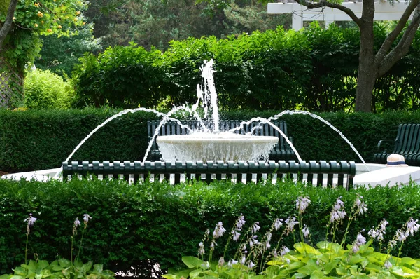 Arboretum i sommar — Stockfoto