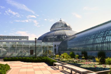Saint Paul, Minnesota-Temmuz 2017: Como Hayvanat Bahçesi ve St Paul, Mn yaz aylarında limonlukta