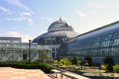 Saint Paul, Minnesota-Temmuz 2017: Como Hayvanat Bahçesi ve St Paul, Mn yaz aylarında limonlukta