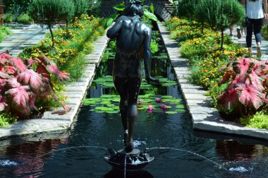 Saint Paul, Minnesota-Temmuz 2017: St. Paul, Mn Como Konservatuarı'nda batık bahçedeki heykel.
