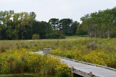 Boardwalk sulak