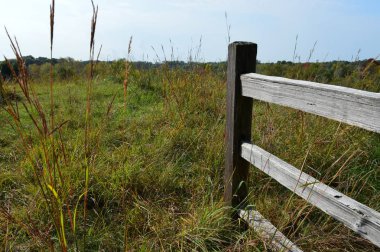 Çayır manzarada çit