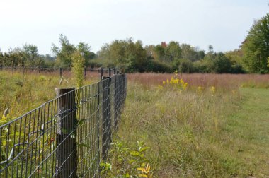 Çayır manzarada çit