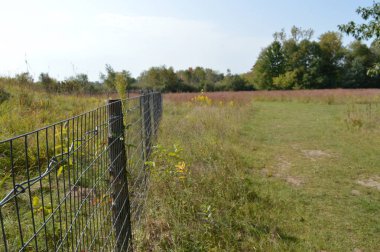 Çayır manzarada çit