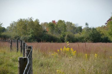 Çayır manzarada çit