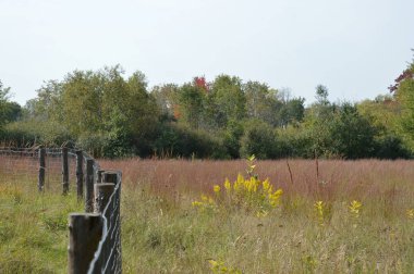 Çayır manzarada çit