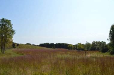 Kır manzarası Güz