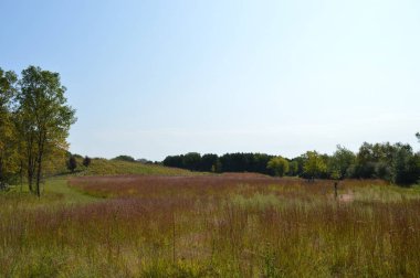 Kır manzarası Güz