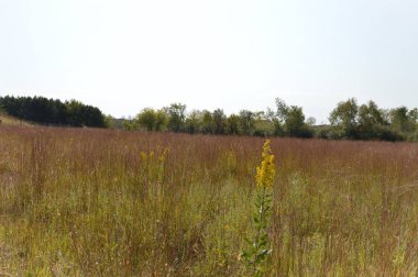 Kır manzarası Güz