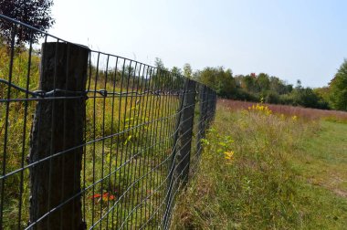 Çayır manzarada çit