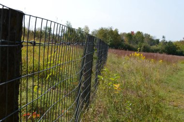 Kır manzarası Güz