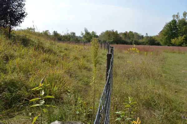 Çayır manzarada çit