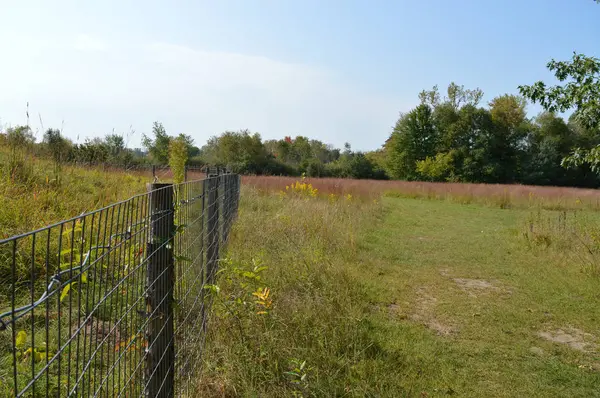 Çayır manzarada çit