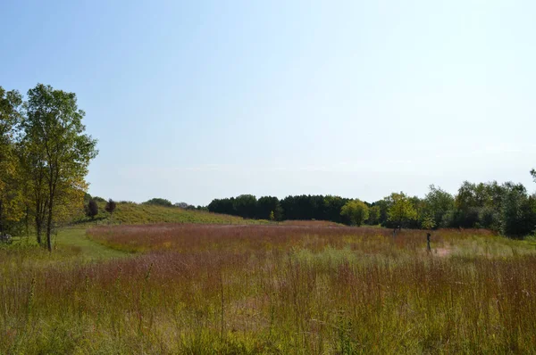 Kır manzarası Güz