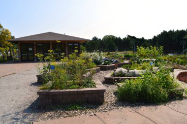 Topluluk bahçe Sebze yatak