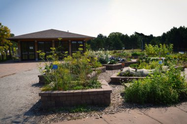 Topluluk bahçe Sebze yatak