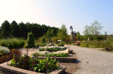 Topluluk bahçe Sebze yatak