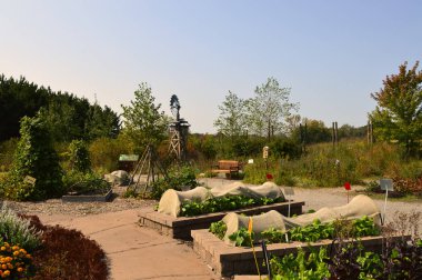 Topluluk bahçe Sebze yatak