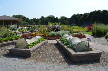 Topluluk bahçe Sebze yatak