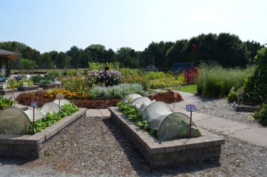 Topluluk bahçe Sebze yatak