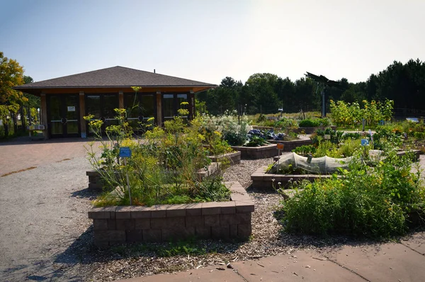 Topluluk bahçe Sebze yatak